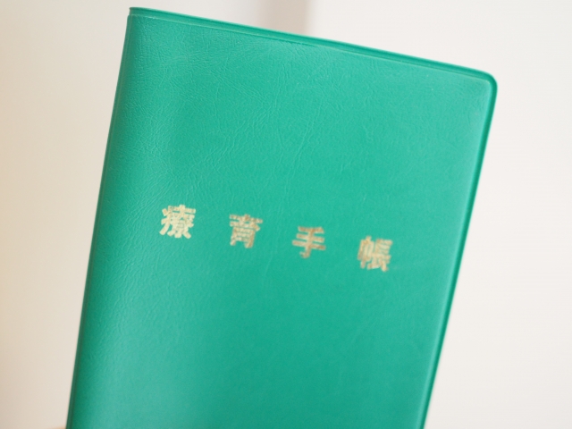 軽度知的で療育手帳の取得は難しい?